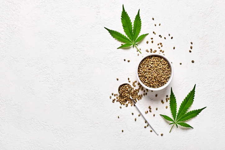 what is hemp seed