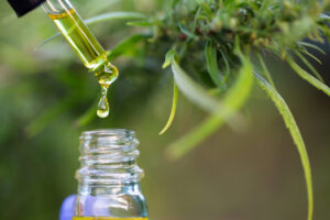 what is cannabis oil