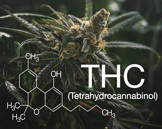 What is THC?