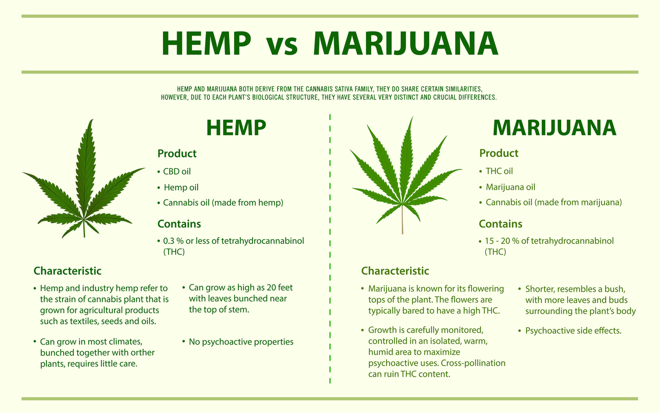 Is Hemp The Same As Cannabis