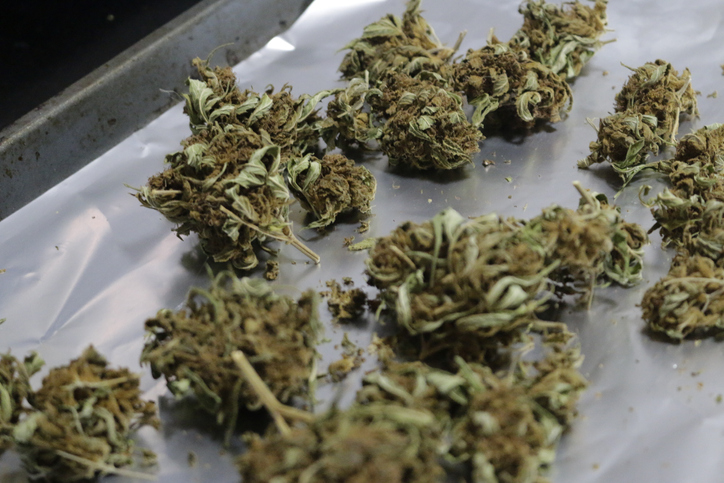Marijuana ready for decarboxylation decarb weed